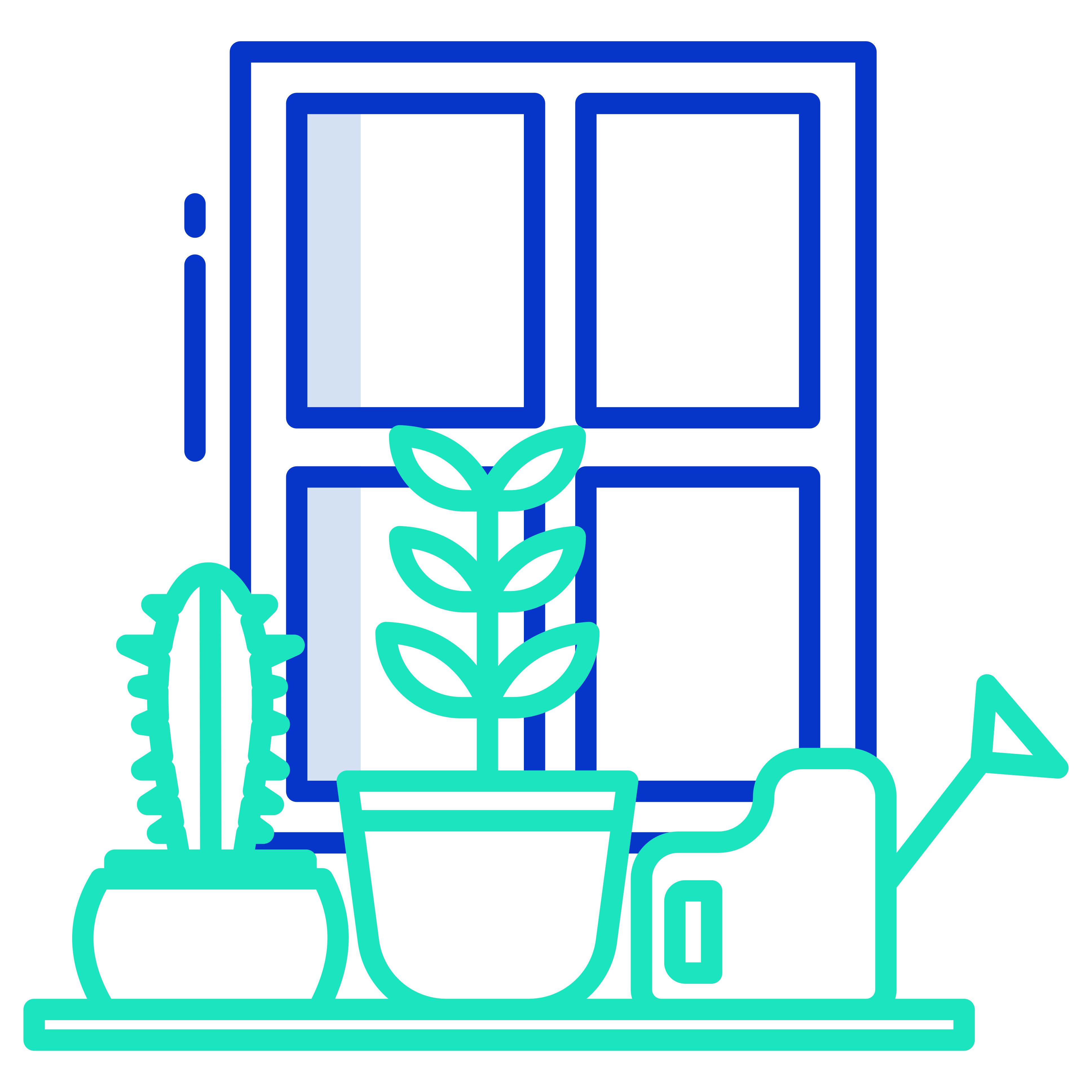 Window Icon